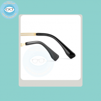 Gọng kim loại mã 6264